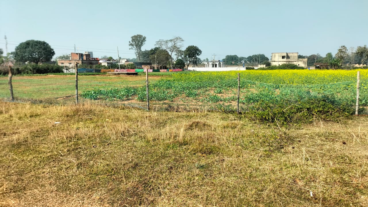 General Plot  at Charwa dam 5 khatta Plot